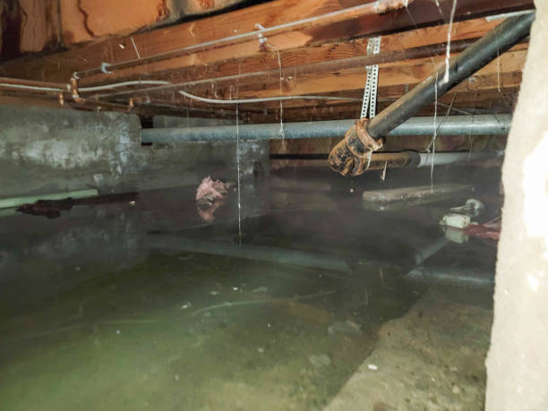 Best Emergency water damage restoration  in Cache, OK
