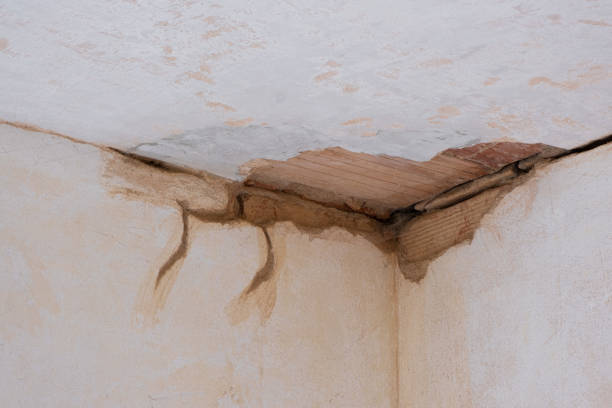 Best Water damage mitigation services  in Cache, OK