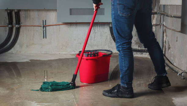 Best Water damage restoration mold remediation  in Cache, OK