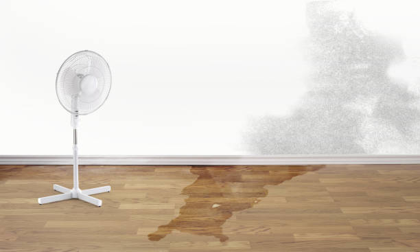 Best 24-hour water damage restoration  in Cache, OK