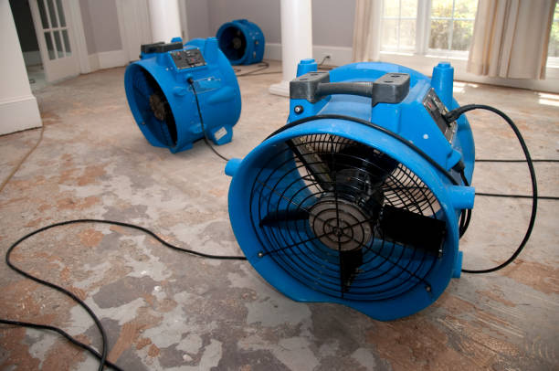 Water damage restoration mold remediation in OK