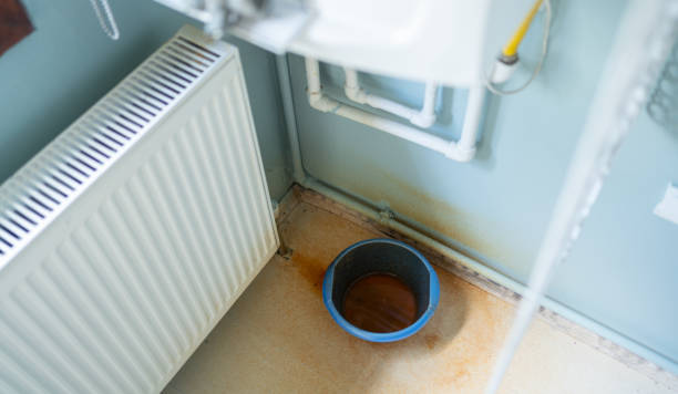Best Basement water damage restoration  in Cache, OK