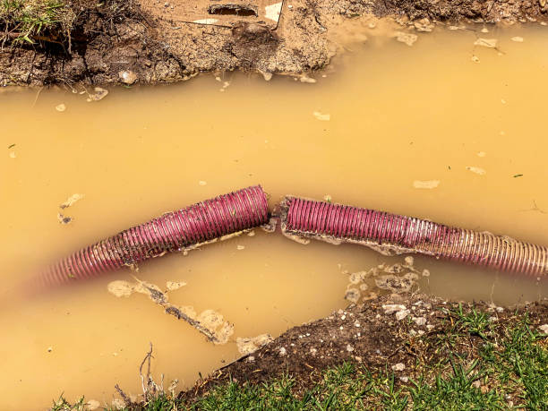 Best Water damage contractors near me  in Cache, OK