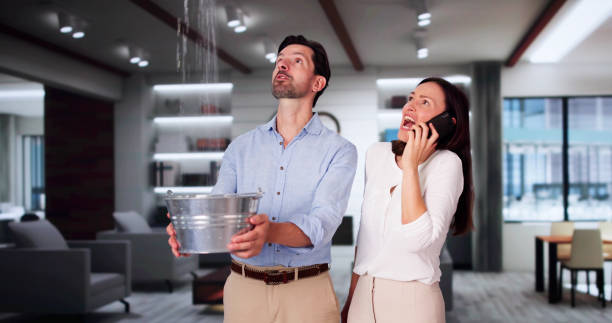 Best Mold removal after water damage  in Cache, OK