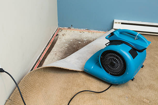 Best Flood damage cleanup  in Cache, OK